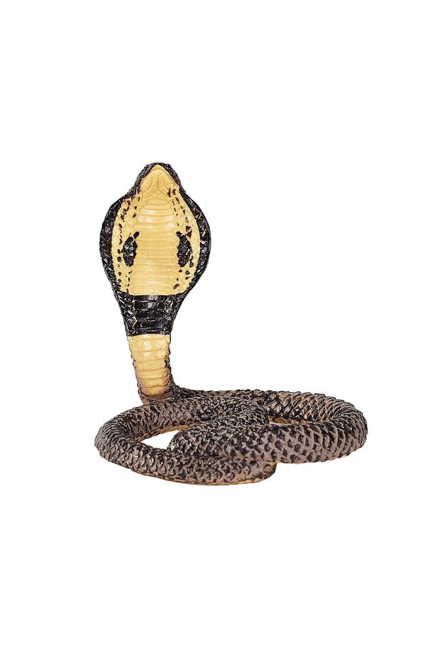 King Cobra - M (387126)