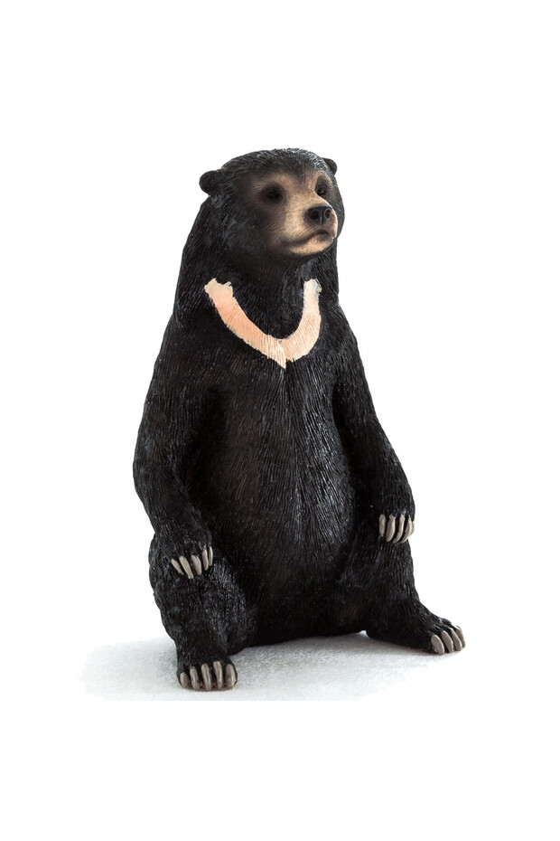 دب الشمس - كبير (387173) - 1