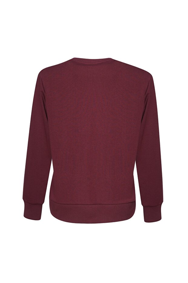 ICONAS SWEATSHIRT - 3