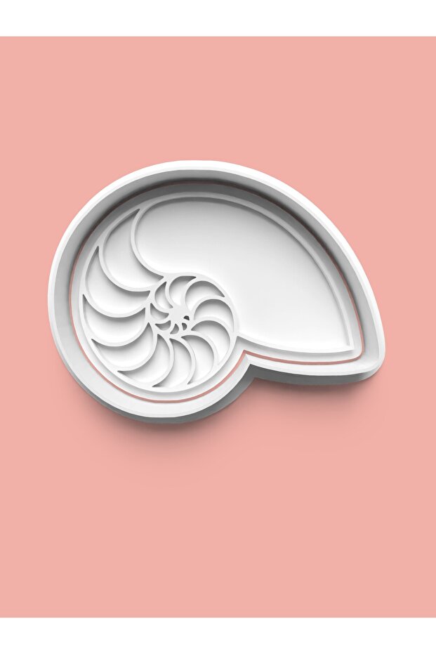 قالب بسكويت على شكل صدفة البحر وقالب عجينة السكر