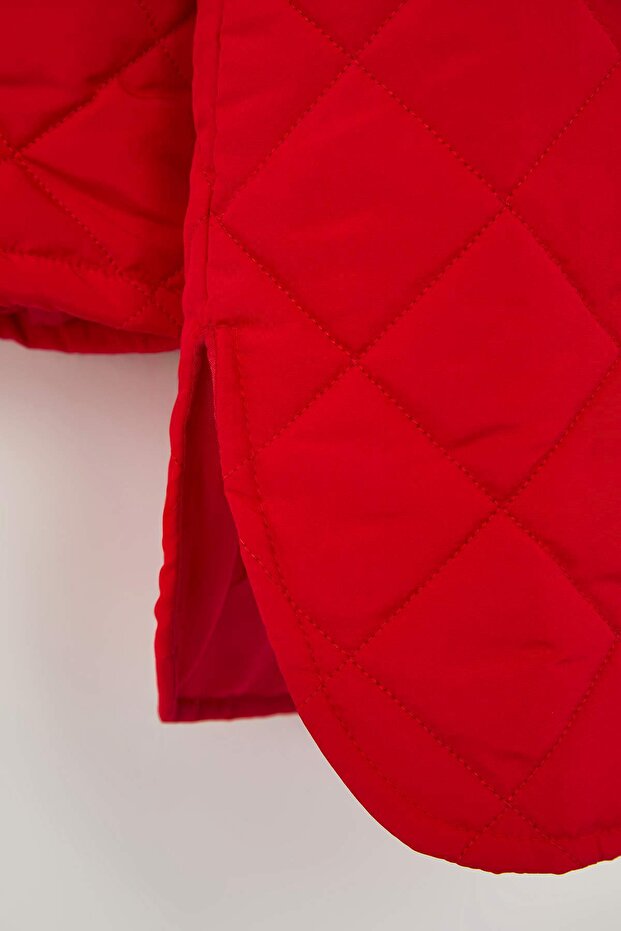 Piros normál szabású kapucnis vízlepergető steppelt nagy méretű kabátok TWOAW26AW00009 - 6