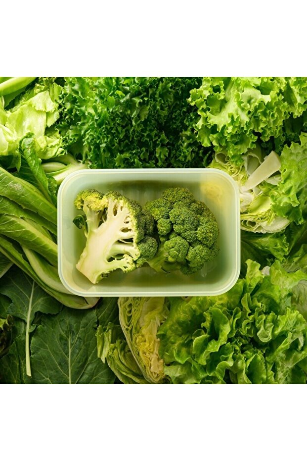 Fresh Block Rectangle Container 330ml – 31-Day Freshness Solution - 2