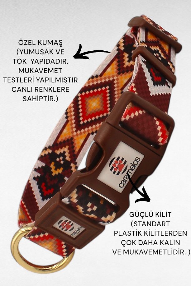 KÖPEK TASMA SETİ KİŞİYE ÖZEL İSİMLİ TASMA, H TİPİ TASMA ,GÖVDE BOYUN GEZDİRME TASMASI, KÖPEK KÜNYE - 2