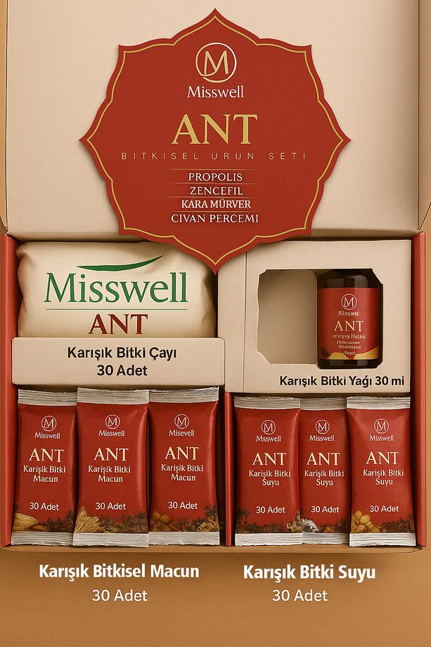 ANT SETİ - 1