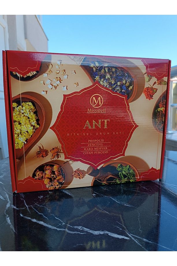 ANT SETİ - 7