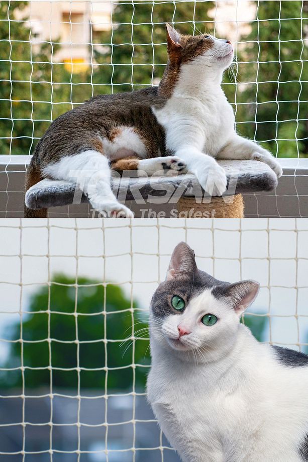 Kedi Filesi – 4 cm – 2.5 mm İp – Kedi Ağı – Kare Desen - 1.5 Metre x 1 Metre - 3