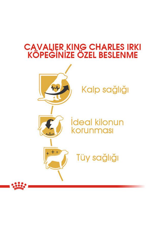 Cavalier King Charles Kuru Köpek Maması 3kg - 4