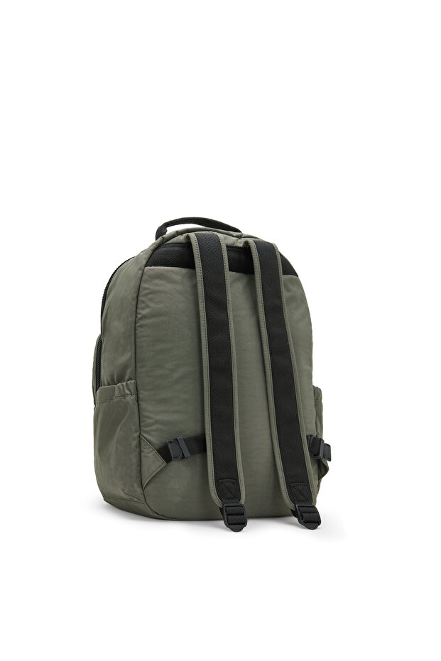 طحلب سيول الأخضر - 5