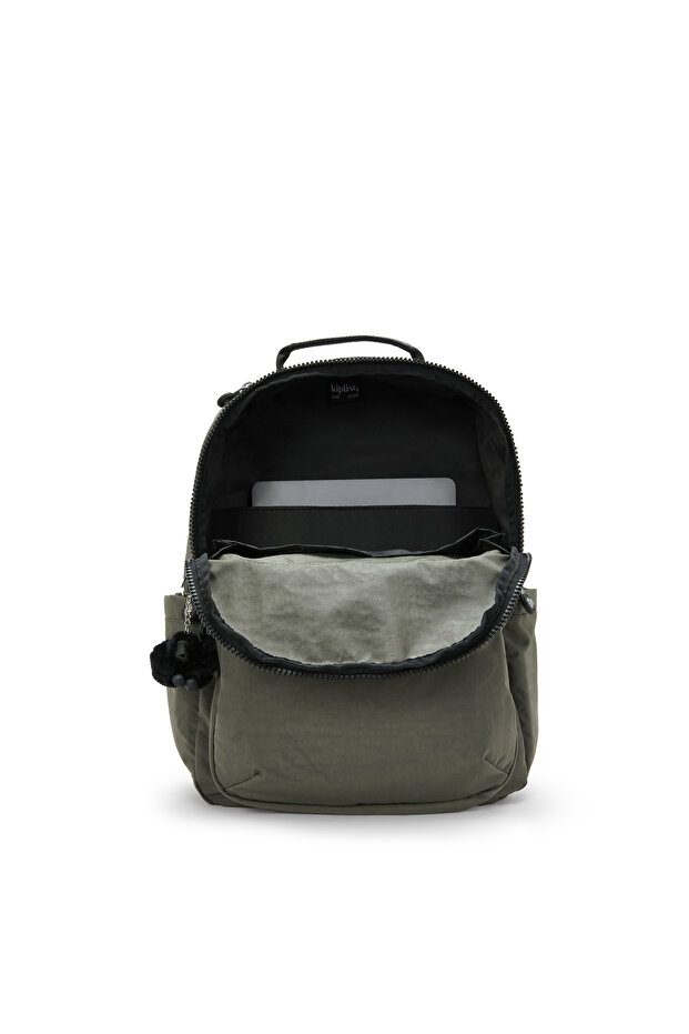 طحلب سيول الأخضر - 7