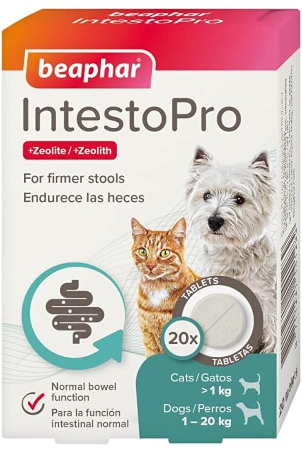 IntestoPro Anti Diarrhea Tablet Small Dog & Cat 20 tab