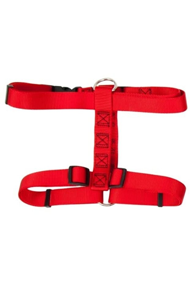 NYLON DOG3/4X20-28in RED