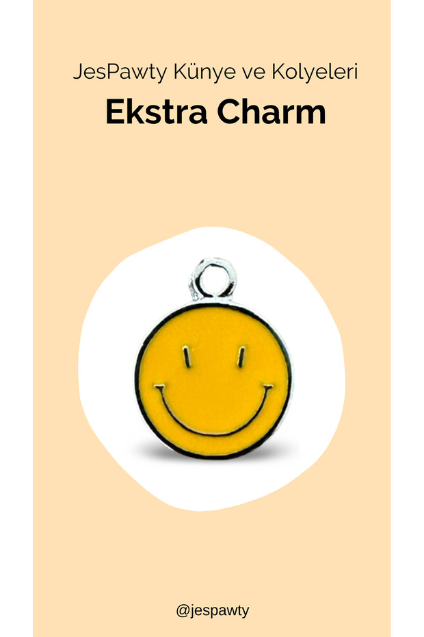 Charm Silver Color Plated Compatible with Necklace and Tag