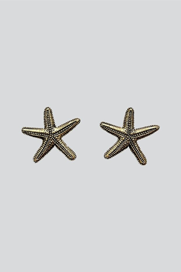 Starfish Earrings - 2