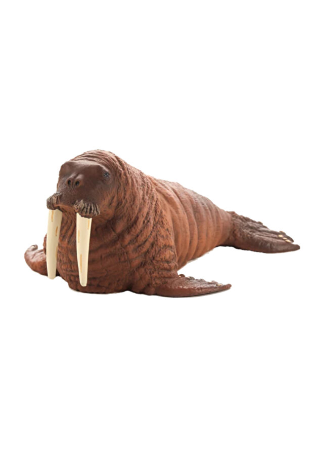 Walrus (Portugal)-XXL (387209)