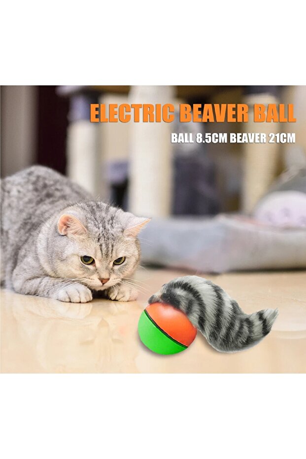 كرة مطاردة السنجاب المتدحرجة - 2