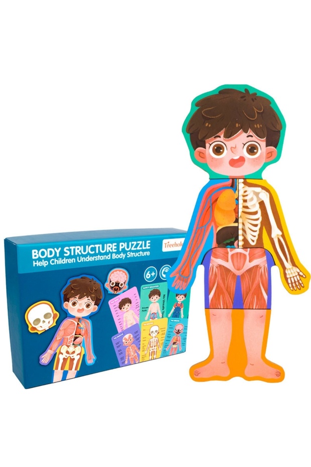 - Treehole Body Structure Puzzle Toy Set - Boy