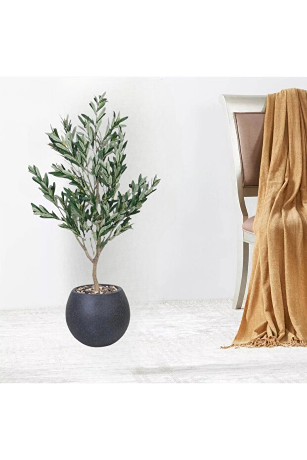 شجرة زيتون مقاس 130 سم - 6