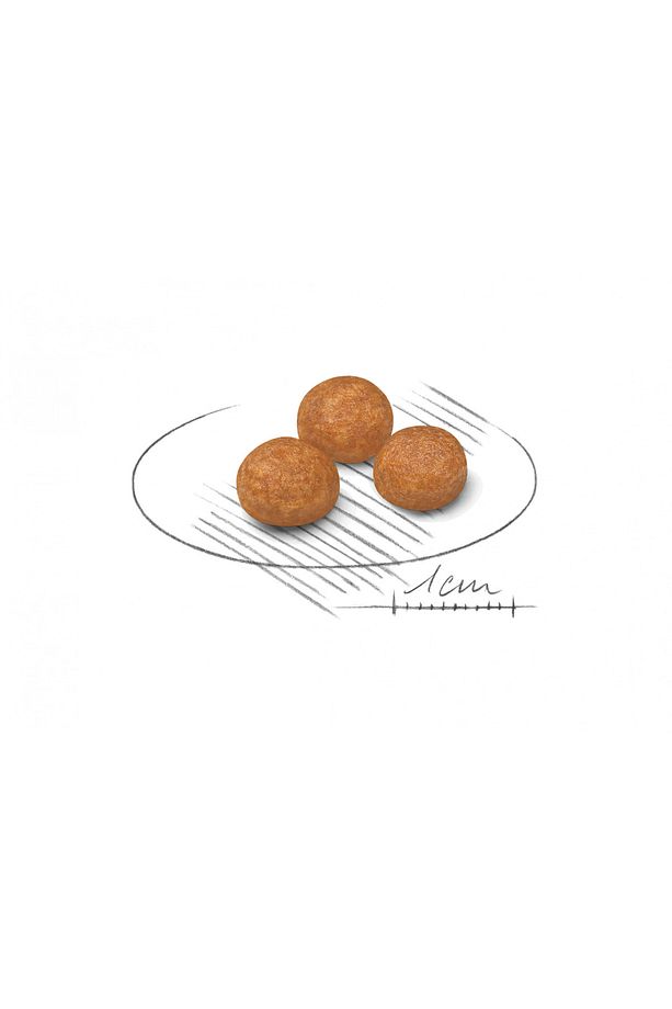 ® X-small Yetişkin Köpek Maması 1,5 Kg - 2