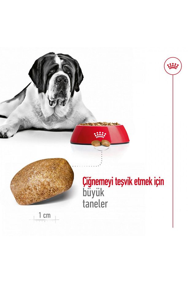 Maxi Dev Irklar Için Yetişkin Köpek Maması 15 Kg - 4