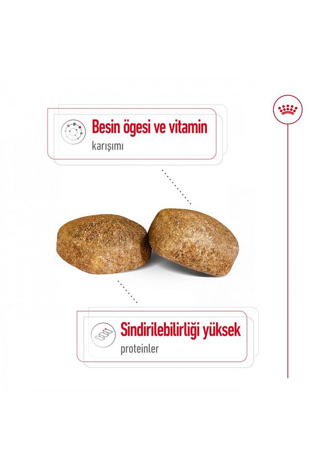 Maxi Dev Irklar Için Yetişkin Köpek Maması 15 Kg - 5