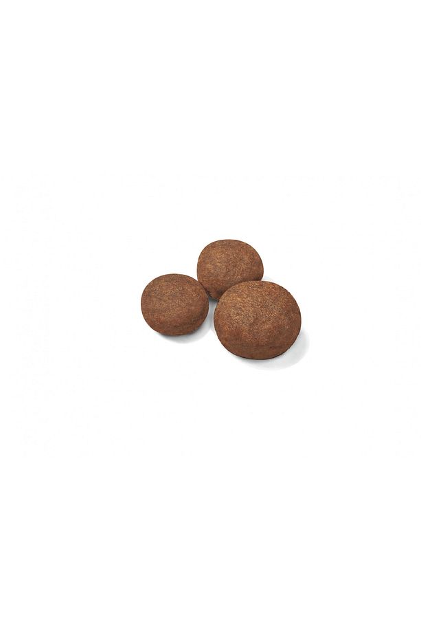 Orta Irklar Için Yavru Kuru Köpek Maması 15kg - 2