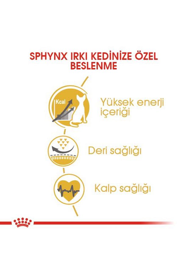 Sfenks Için Yetişkin Kuru Kedi Maması 2kg - 4