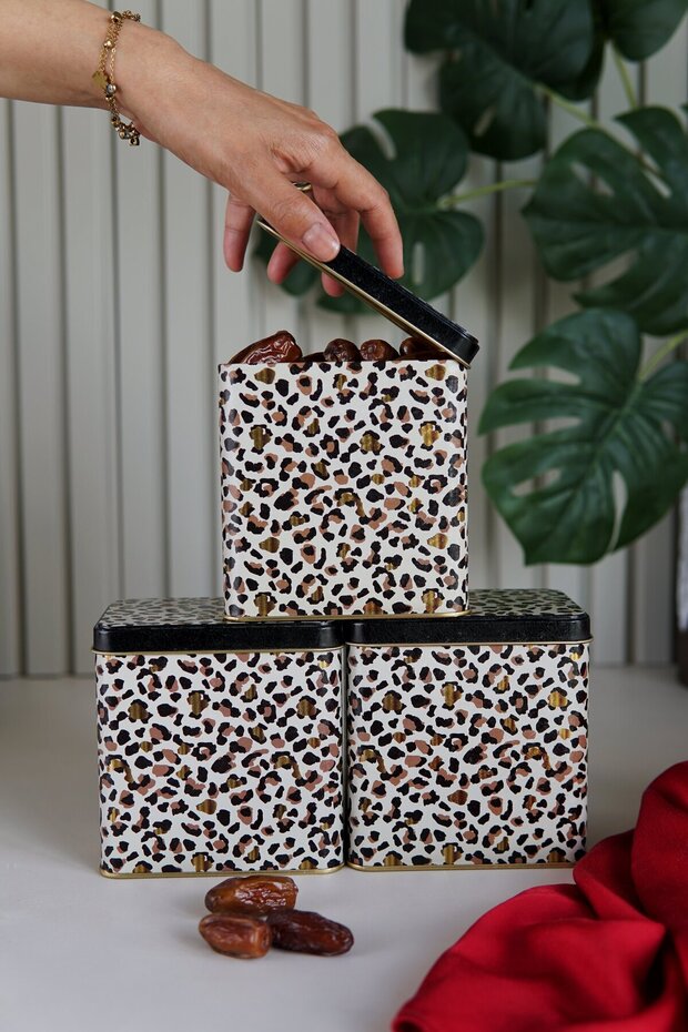 Erb36V4 Rectangular Storage Container 8 X 12 X 12 Cm, Set of 3, Leo - 1