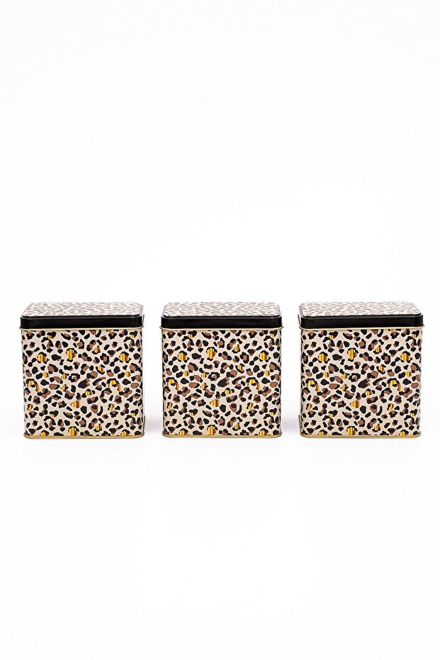 Erb36V4 Rectangular Storage Container 8 X 12 X 12 Cm, Set of 3, Leo - 3