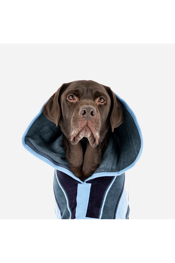 Köpek Bornozu Design Collection Harbour - 5