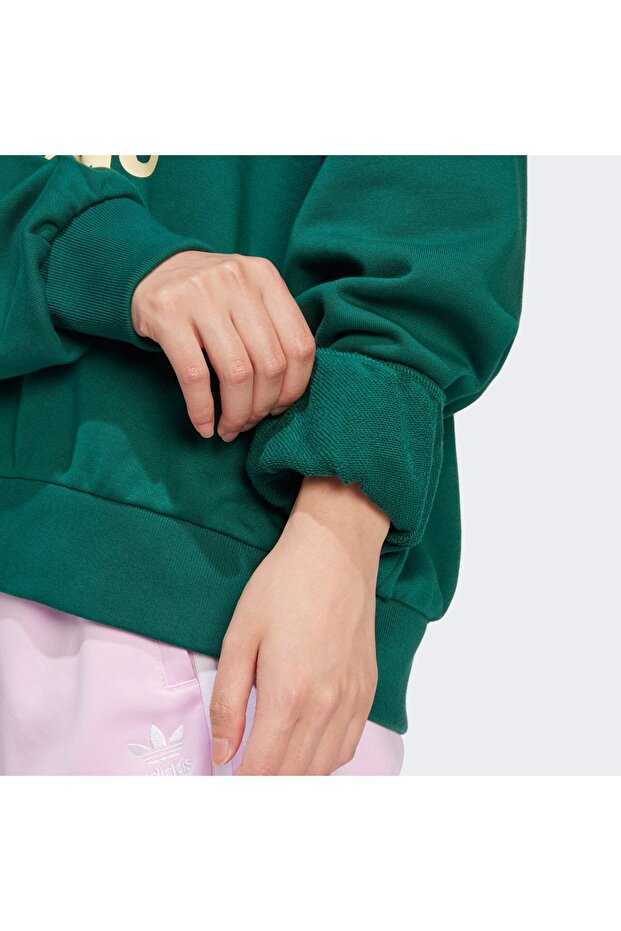 Gradient Trefoil Sweatshirt - 6