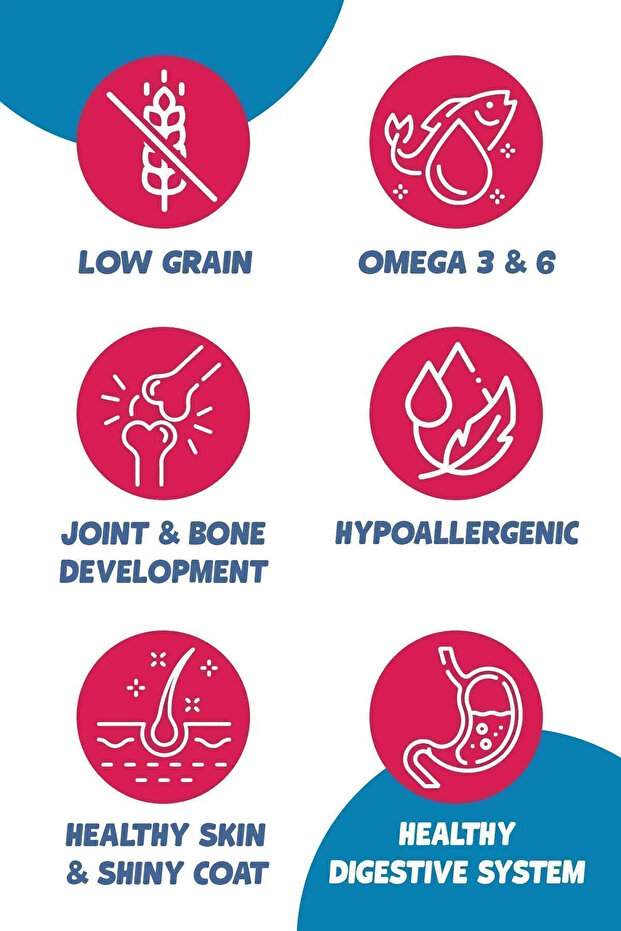 Mega Mini Irk Köpek Mama Seti - 7