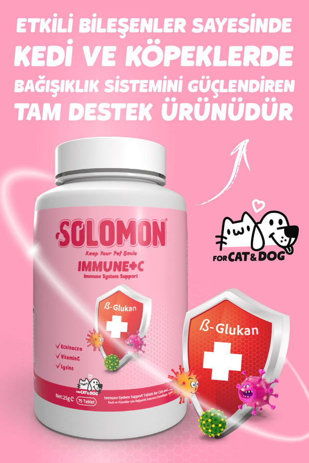 Mega Mini Irk Köpek Mama Seti - 6