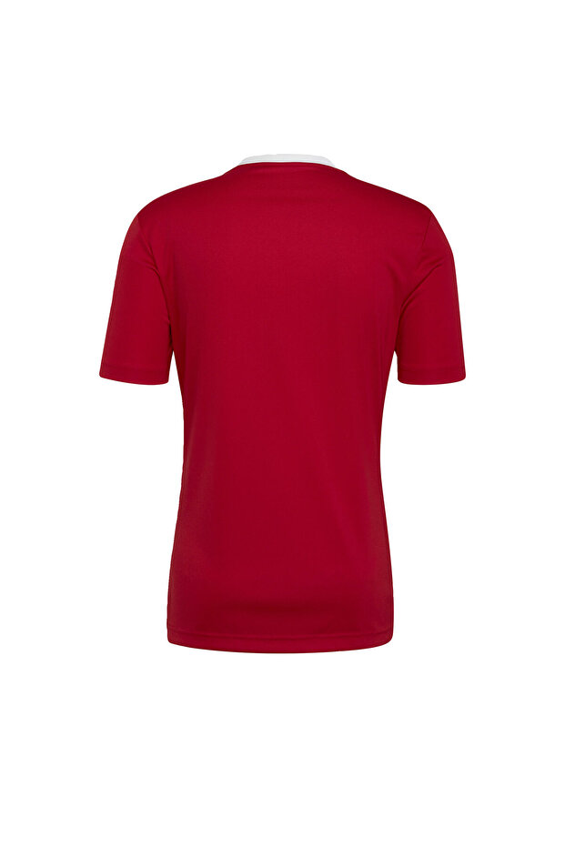 Entrada 22 Forma - 6