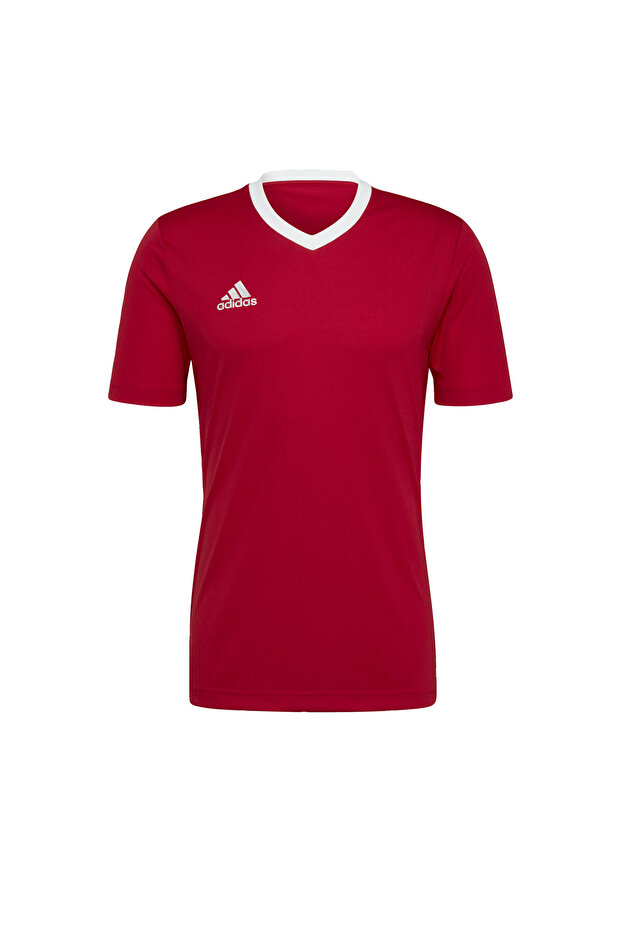 Entrada 22 Forma - 5