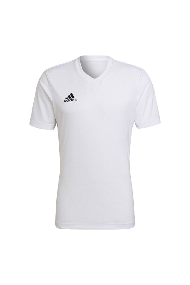 Entrada 22 Forma - 3