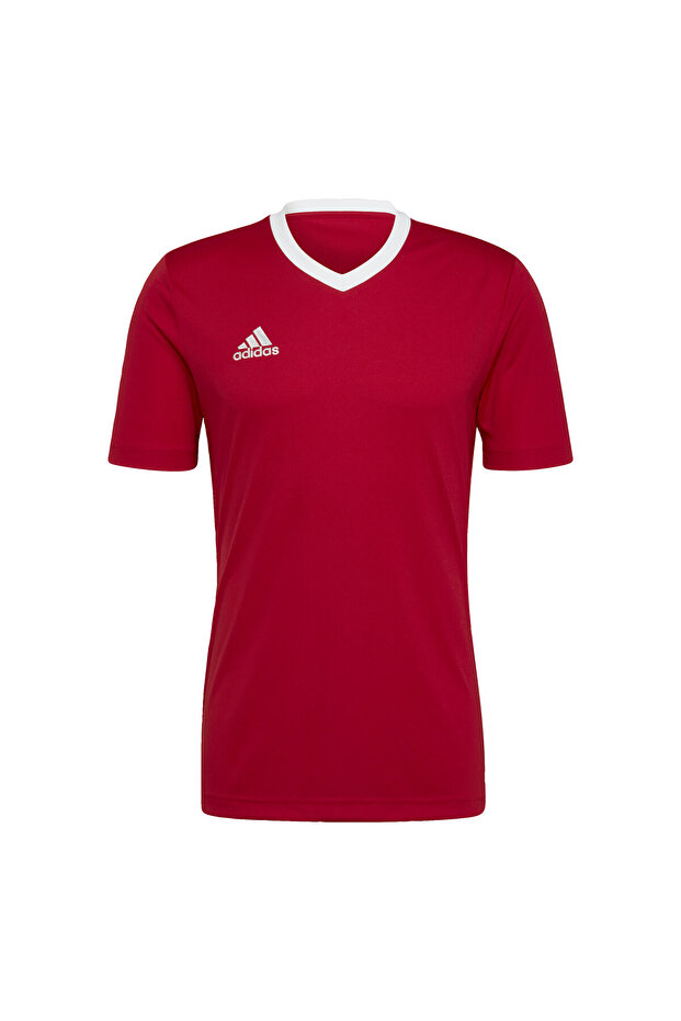 Entrada 22 Forma - 3