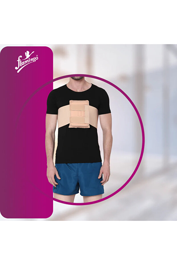 جبيرة القص المتوسطة (م) - 1