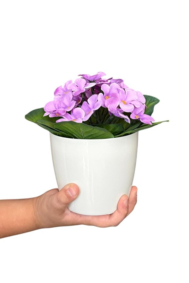 Live Colorful Real Textured Artificial Violet in White Color Pot