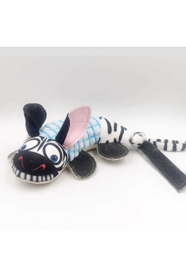 الحمار الوحشي الساحر - 1