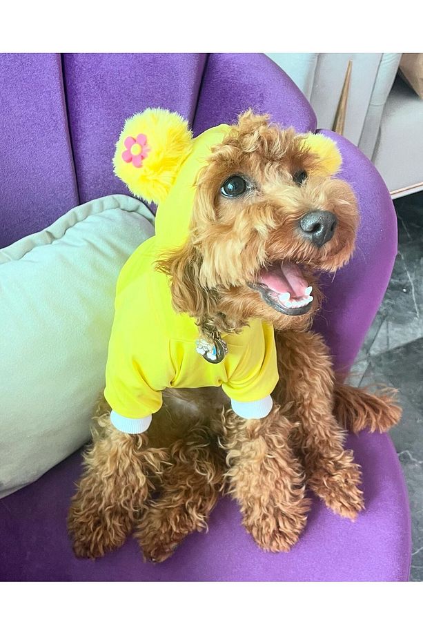 Mamma Mia Kapşonlu Köpek Kıyafeti Sweatshirt - 1