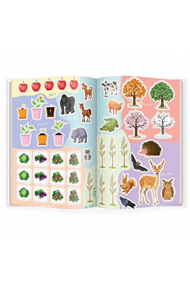 AQ.3 ani - MultiQ - 3