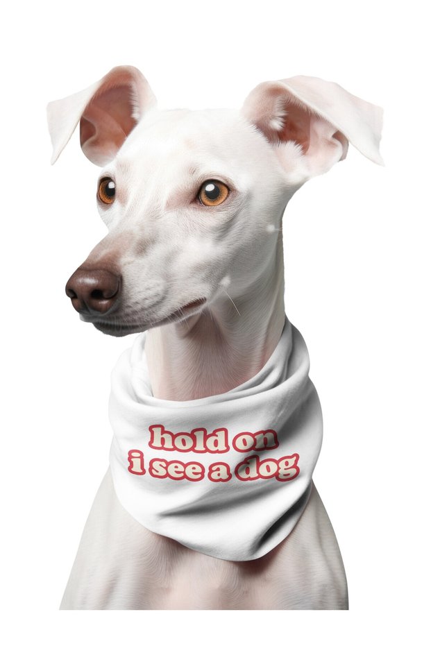 Hold on I See a Dog Printed Dog Scarf Bandana