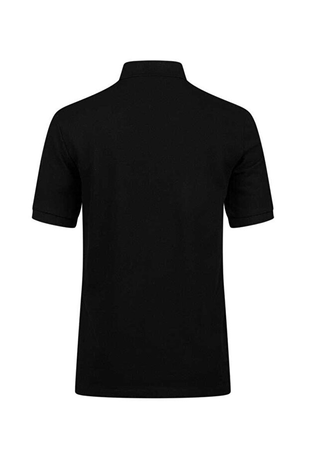Andy Erkek Polo Yaka T-shirt Siyah 2asandytfbm25-0924 - 4