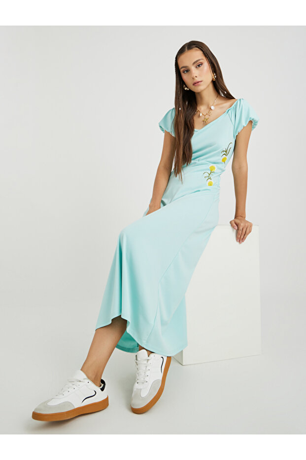 Embroidered Puff Sleeve A-Line Midi Dress