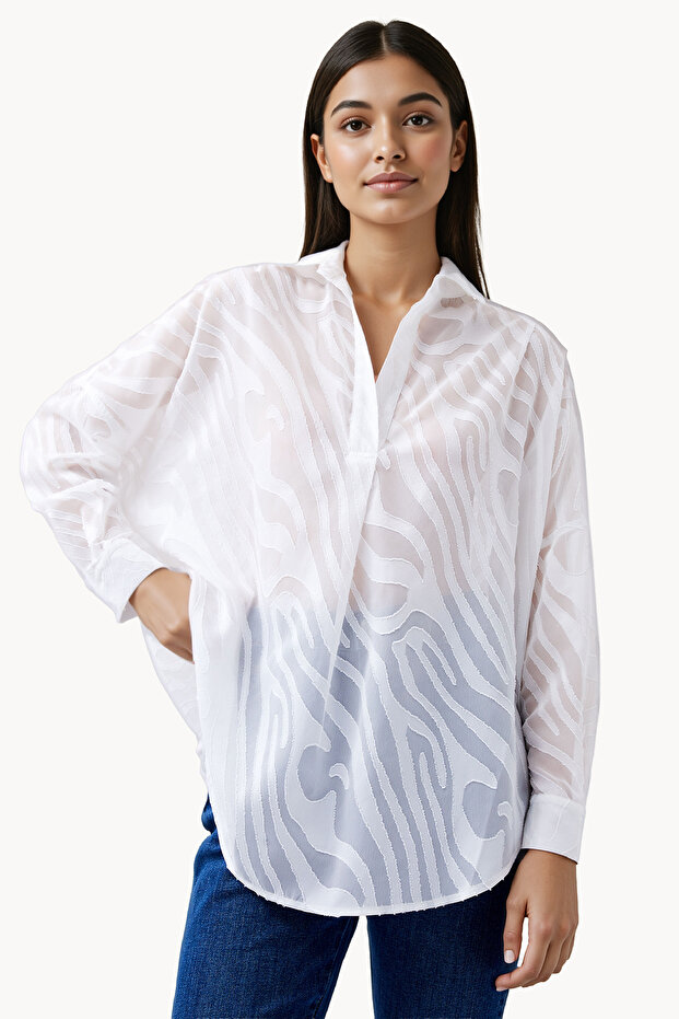 Full Sleeve Semi Sheer Collared Neck Top