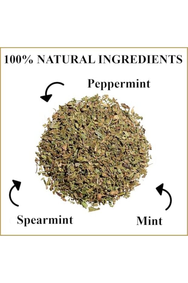 100% نعناع واعي - 6