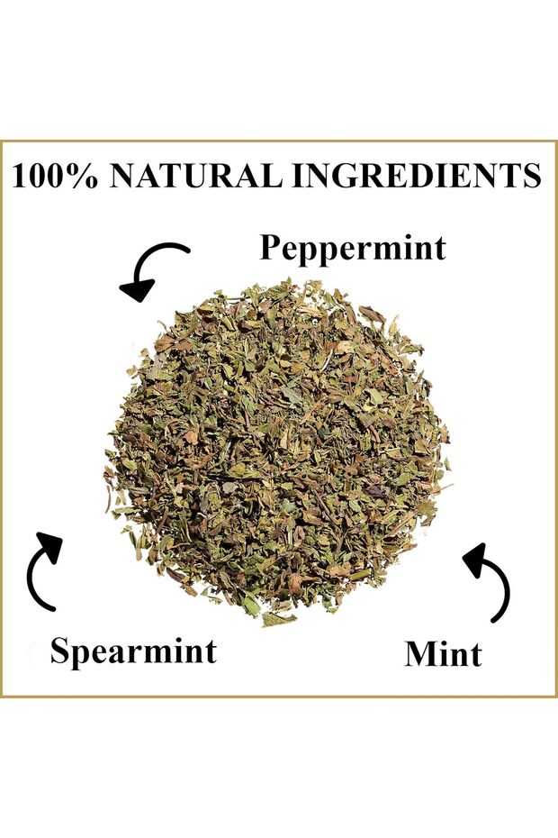 100% نعناع واعي - 5