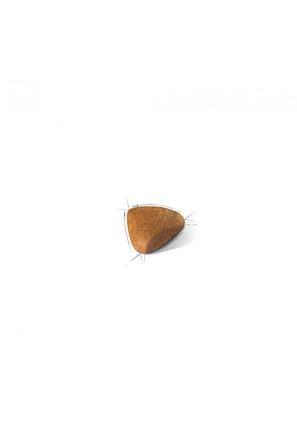 Sfenks Için Yetişkin Kuru Kedi Maması 2kg - 2