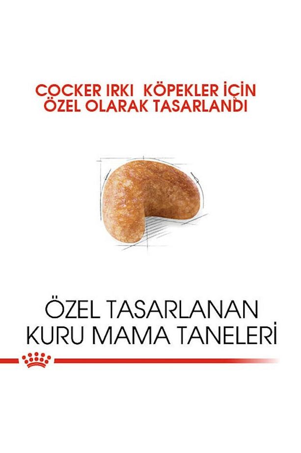 Cocker Kuru Köpek Maması 3kg - 8