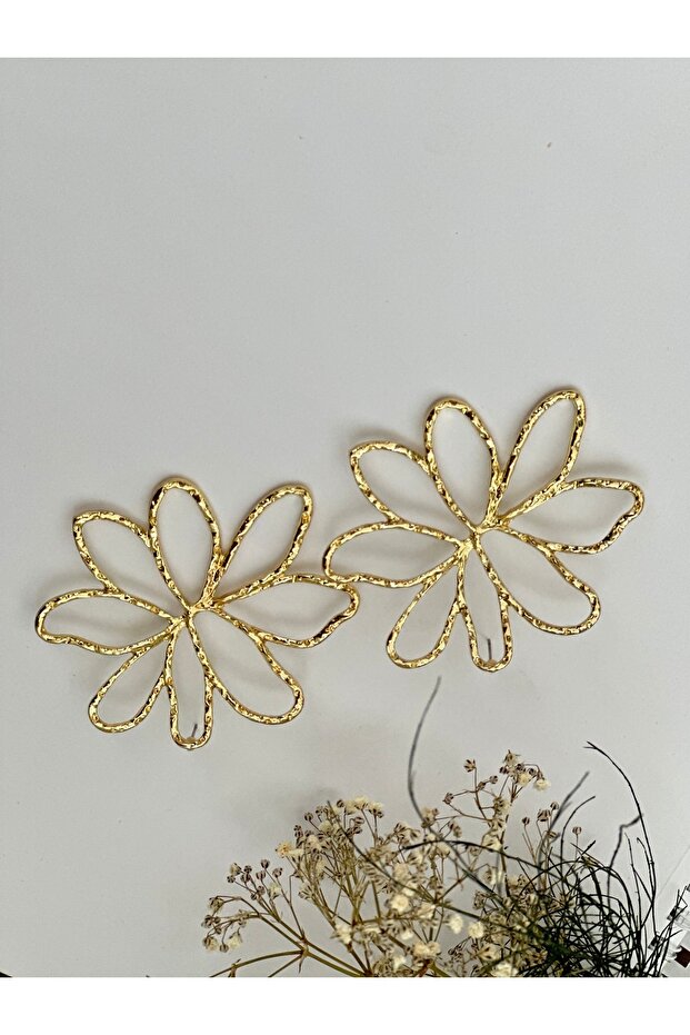 أقراط الزهرة - 2